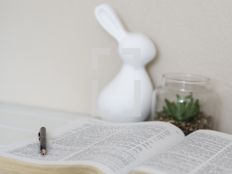 white rabbit figurine, succulent plants, and pen on an open Bible 