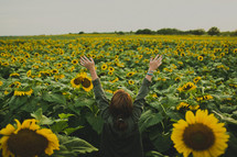 woman standing in a vast field of sunflowers 