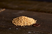 mustard seeds on wooden table with a penny to show their size
