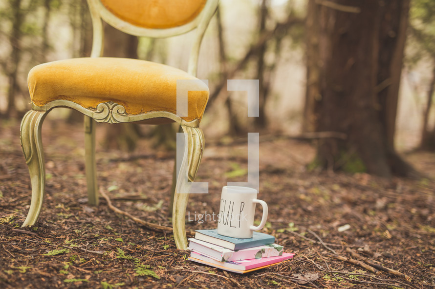 chair, book, and mug in a forest 