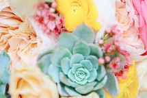 bouquet of flowers and succulent plant 