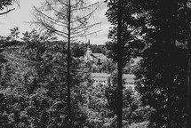 forest trees in a back and white and view of a church 