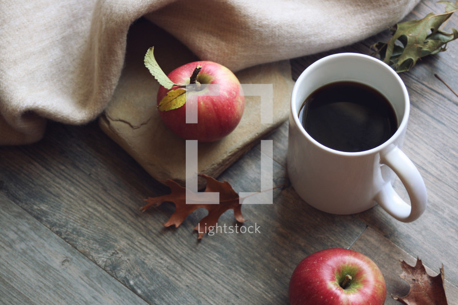 apples, blanket, and fall leaves 