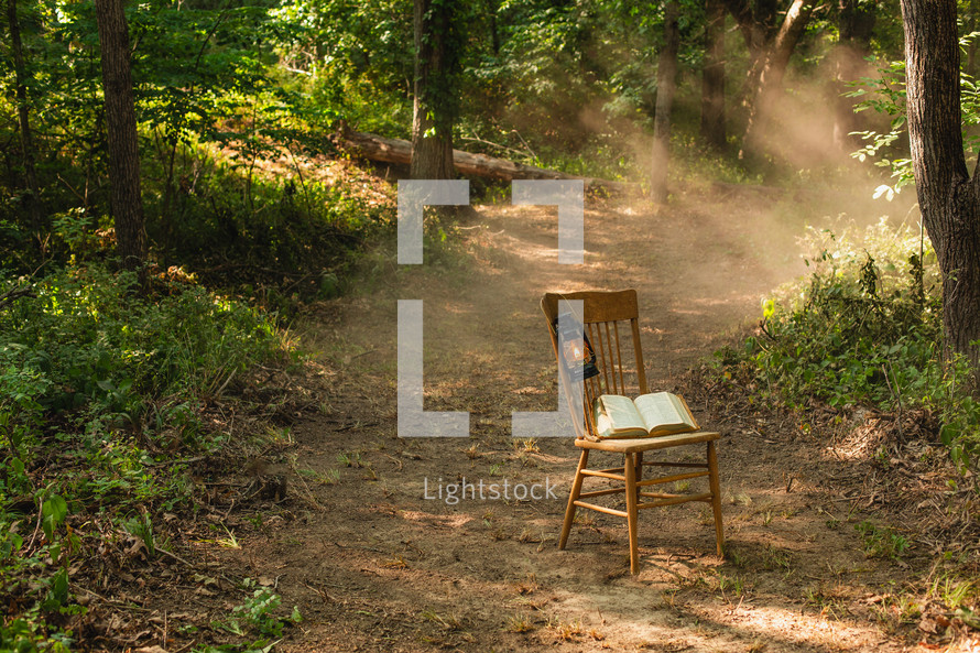A Bible and oil lantern on a chair in the woods.