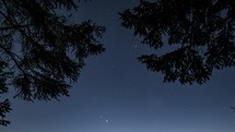 Blue night sky with stars moving fast over spruce branches silhouette in dark evening forest time lapse
