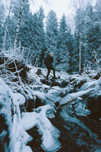 standing in a winter forest 