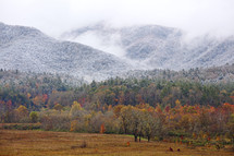 fog over a fall mountain forest 
