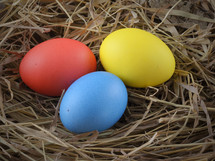Three Easter eggs in a nest 