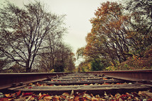 leaves on train tracks 