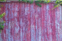 ivy border on a red barn wood 