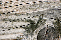 wood knot grain board texture