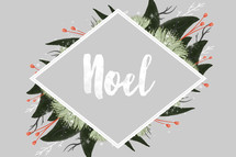Noel 
