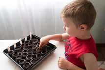 boy child planting seeds 