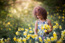 a little girl picking daffodils 