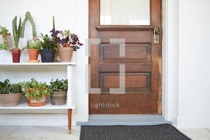 shelf of potted plants by a front door 
