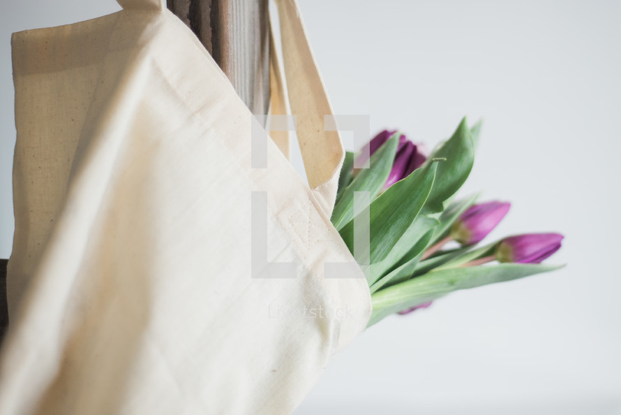 Purple tulips in a canvas bag hanging from the back of a chair.