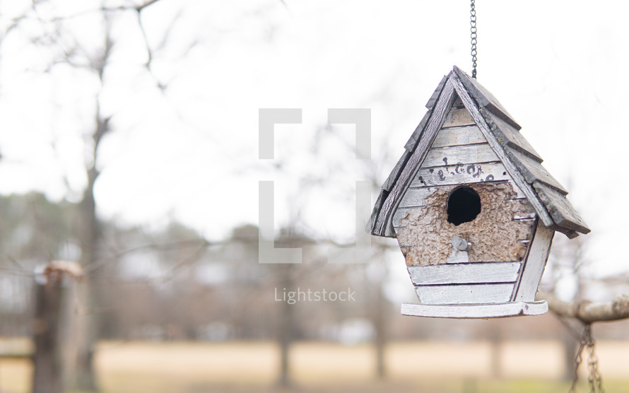 birdhouse hanging from a branch in winter 