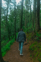 a man walking on a path in a forest 