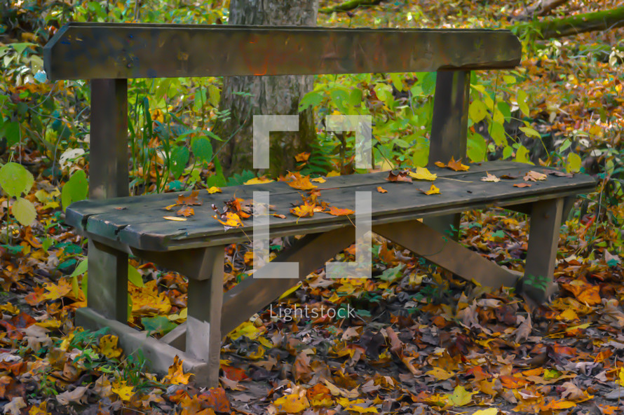 fall leaves on a bench 