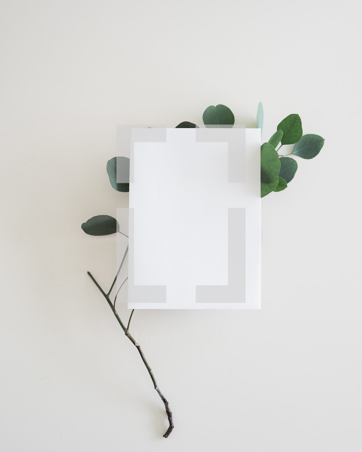 envelope and a twig with leaves on white background