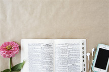 An open Bible between a pink flower and a cell phone with ear phones.