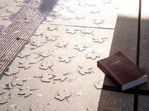 bible on a bench at a bus stop, 

bible, bench, stop, bus stop, waiting, tram, station, streetcar, trolley, transportation, way, bus