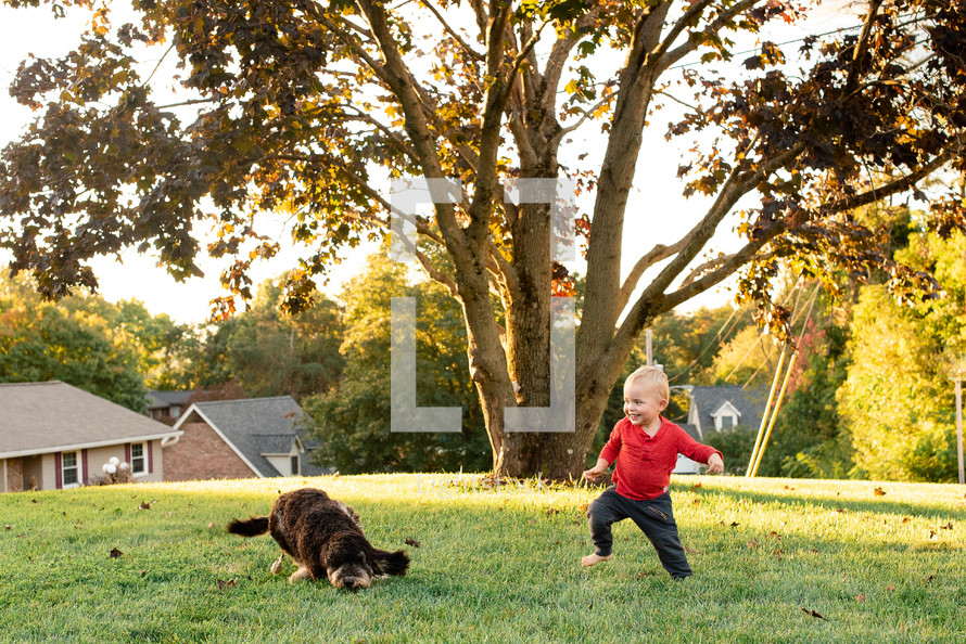  a toddler playing in the yard with a dog 