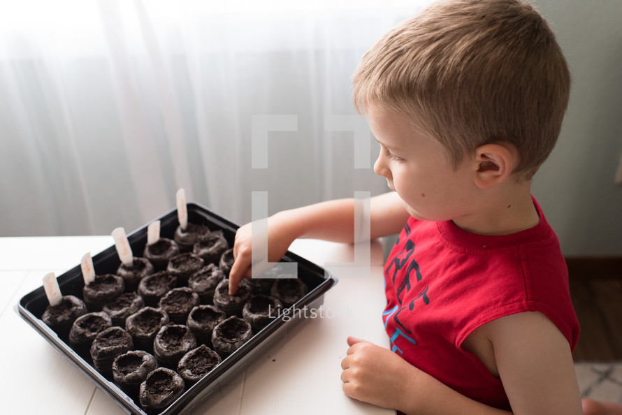 boy child planting seeds 