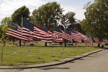 American flags lining a street 