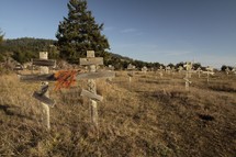 simple wooden crosses in a graveyard 