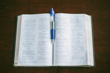 pen marking the pages of a Bible 