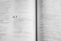 Pages of a Bible 