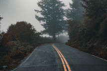 lonely foggy road 