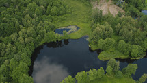 A small lake in a forest. 