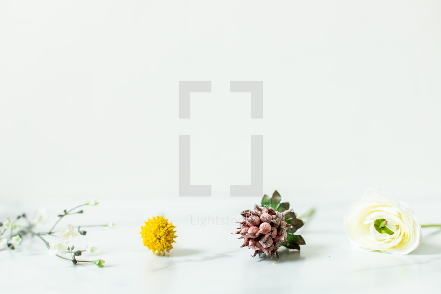 flowers on a marble background 
