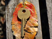 Close up of golden round key with number imprinted on it, laying on top of a red and yellow leaf against a wood background