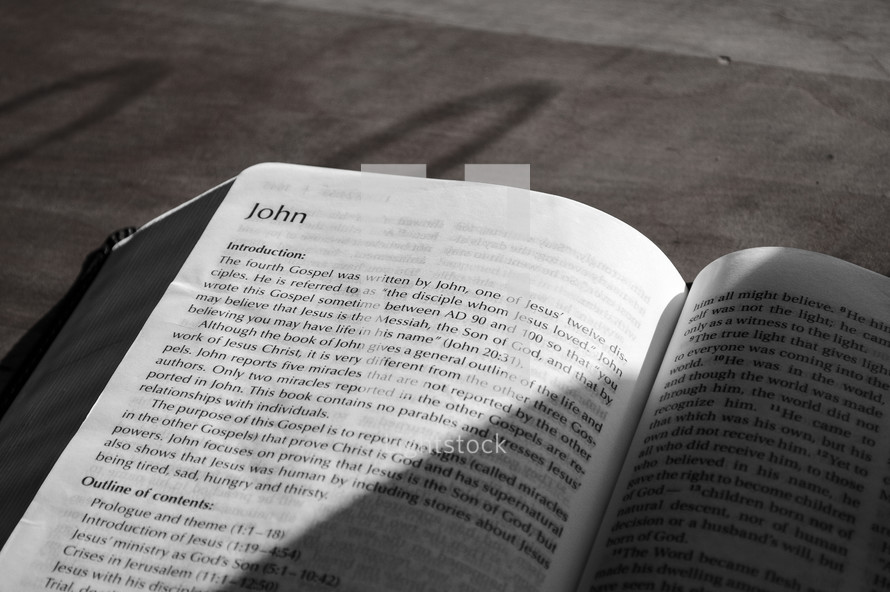 sunlight on the pages of a Bible 