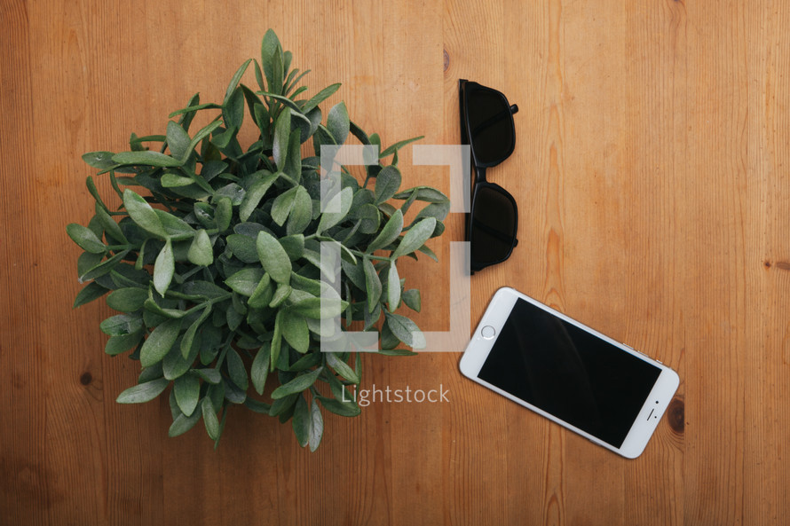 house plant, sunglasses, iPhone on a table top 