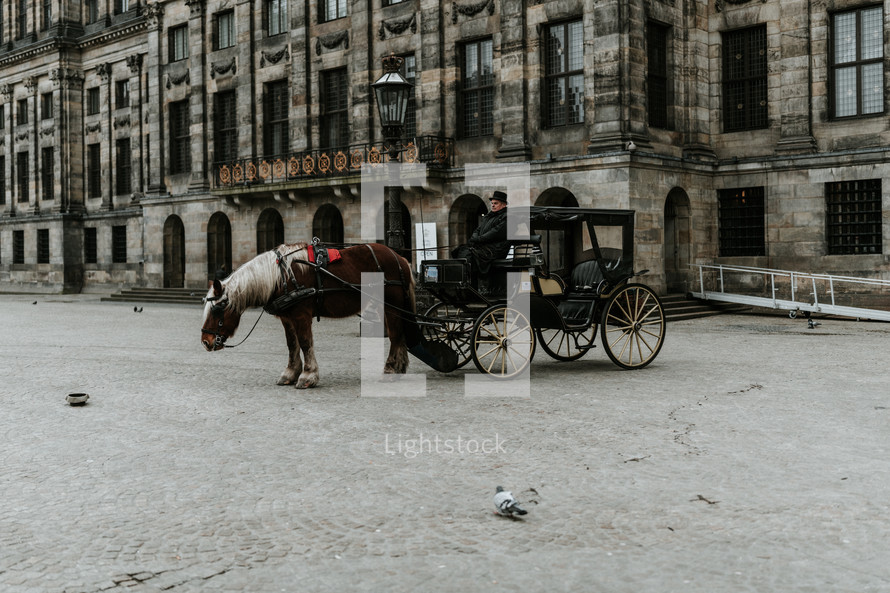vintage inspired photograph, horse and carriage on a cobblestone street 