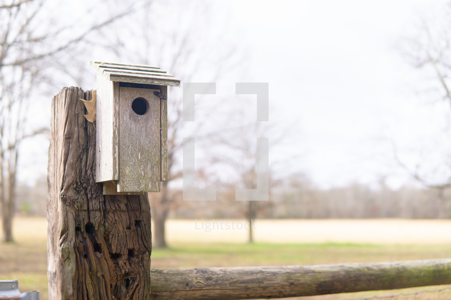 birdhouse in winter 