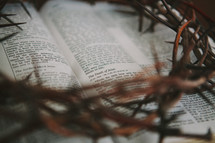 crown of thorns on the pages of a Bible 