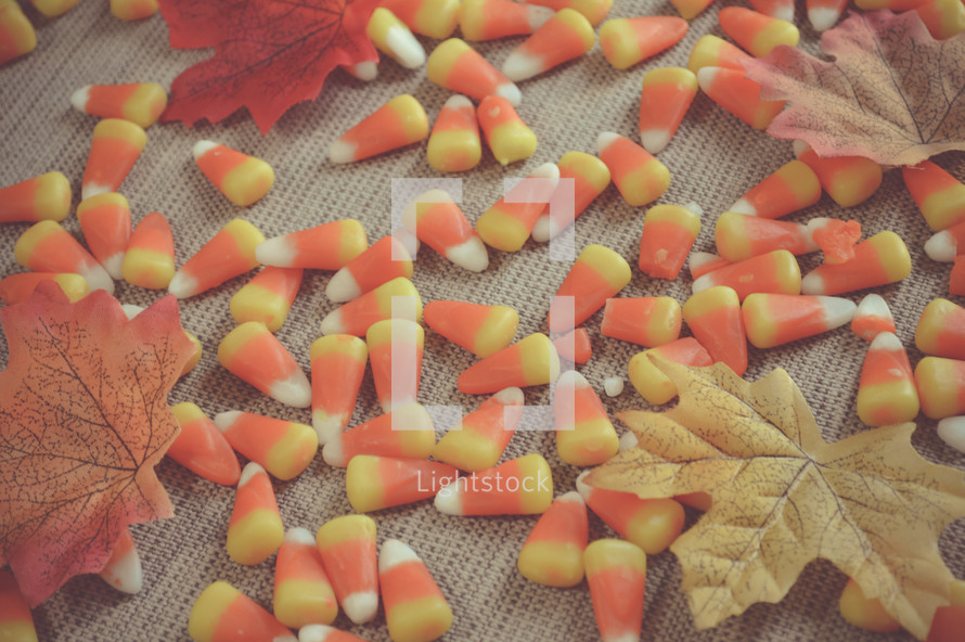 candy corn and autumn leaves 