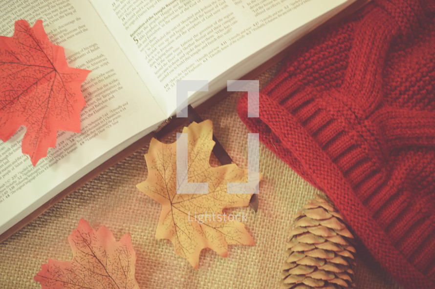 open Bible, fall leaves, pine cone, and knit cap 