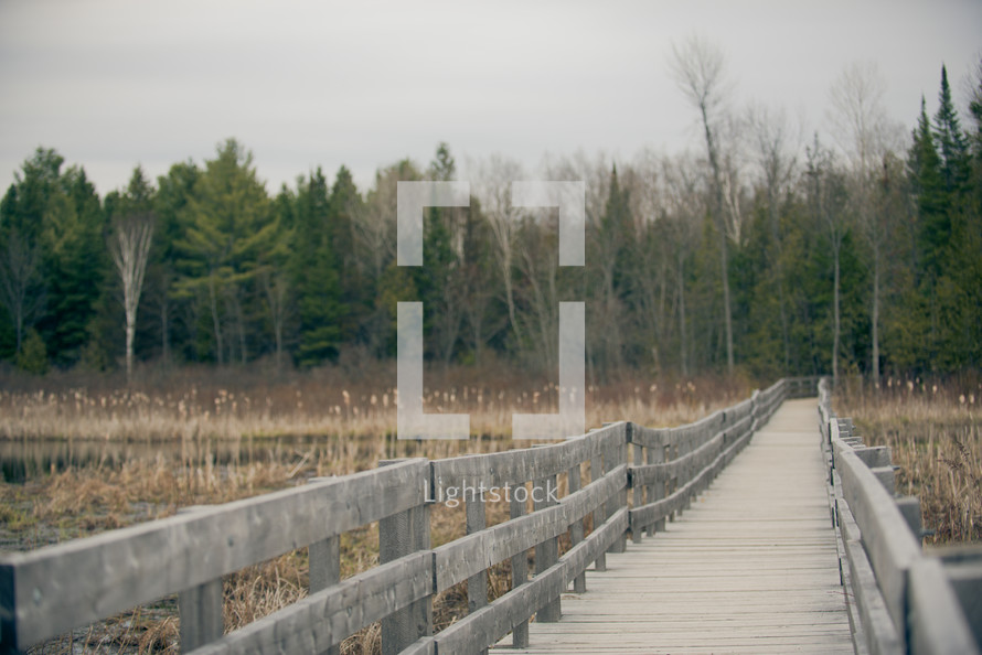 wooden boardwalk marsh 