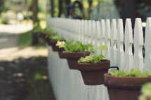 flower pots hanging on a white picket fence 