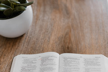 open Bible on a wood table 