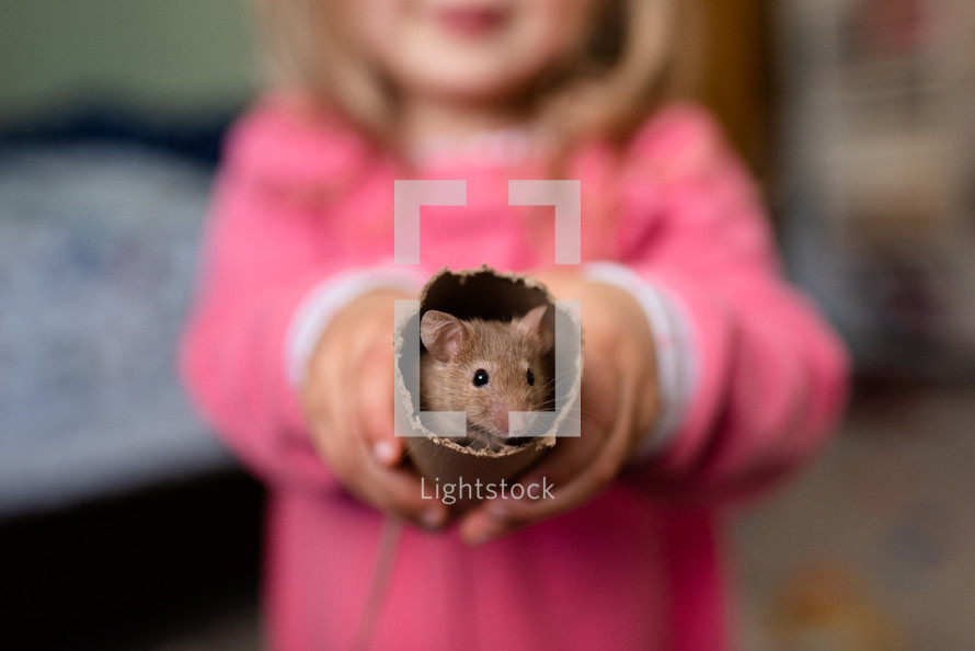 a toddler girl holding a pet mouse in a tube 