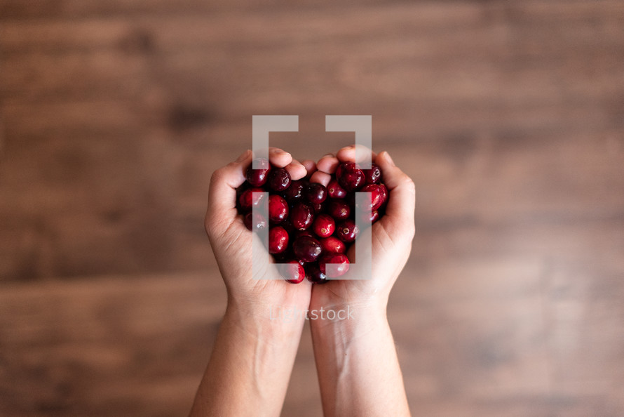 hands holding red cranberries in hands shaped like a heart