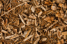 mulch texture fall wood sticks