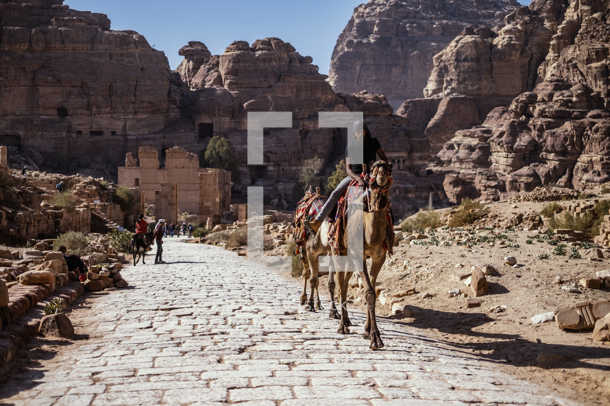 man riding a camel 